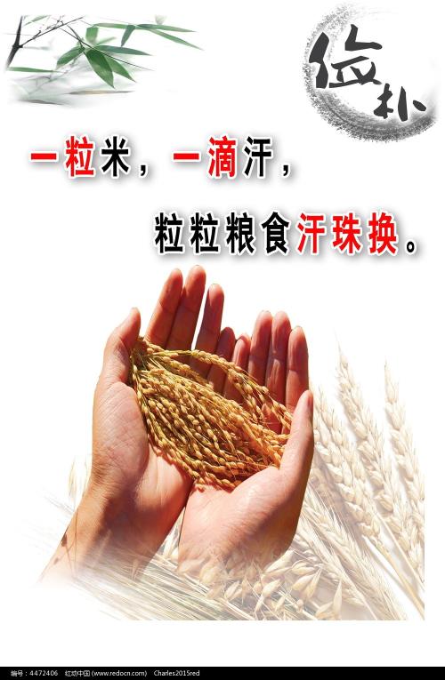 蔚蓝海岸大学商业管理文凭证书